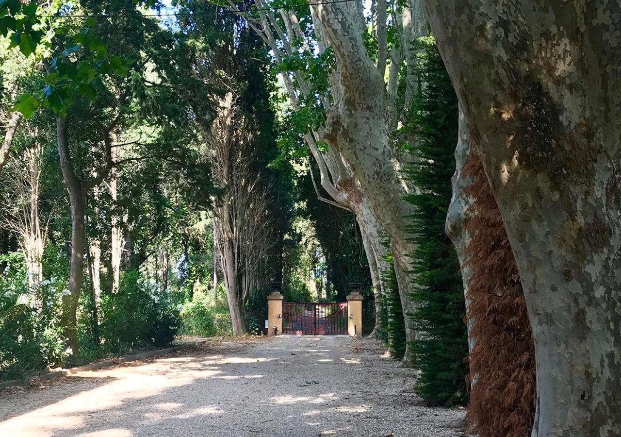 Can Codol - Casita, a hidden gem on the Costa Brava Torroella de Fluviá Exterior foto