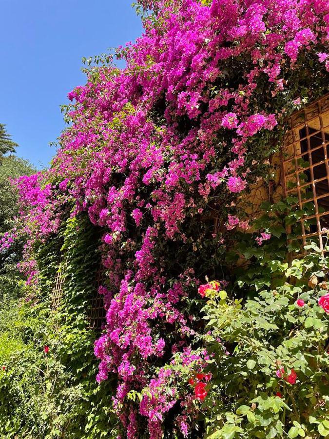 Can Codol - Casita, a hidden gem on the Costa Brava Torroella de Fluviá Exterior foto